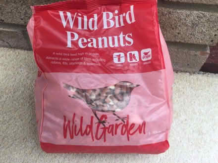 Photo of free Wild Bird Peanuts (CO14) #1