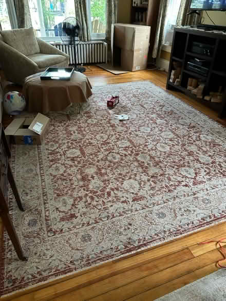 Photo of free 8 x 10 rug (Saratoga Springs East Side) #1