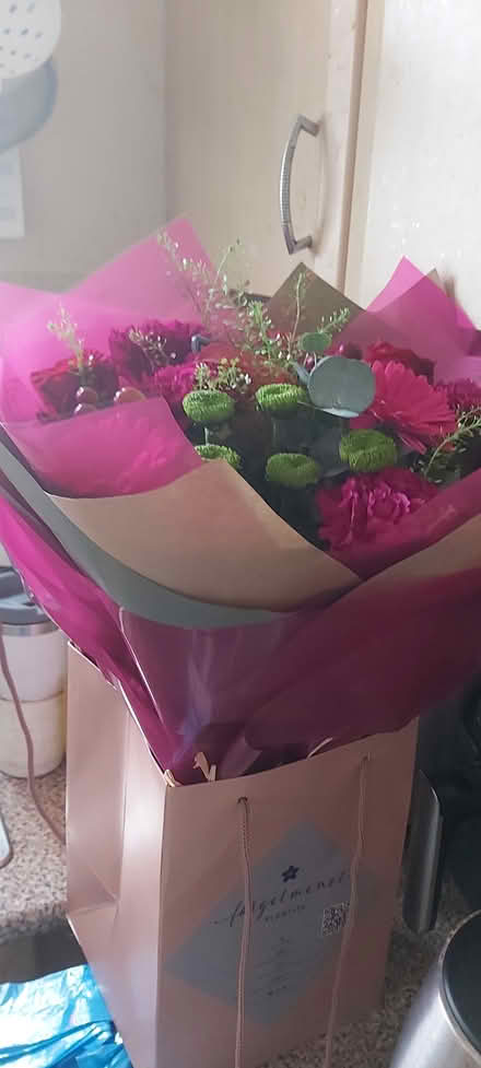 Photo of Hi everyone gifting brid feeds (SY3) #1