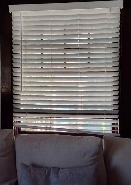 Photo of free White horizontal faux wood blinds (Midtown/Boulevard Park) #2