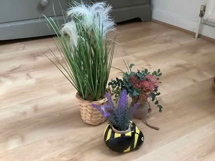 Photo of free Artificial plants (White City W10) #1