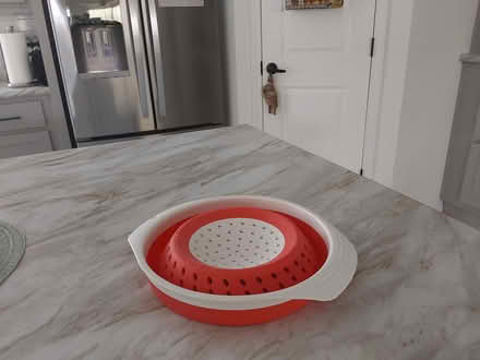 Photo of free Silicone, collapsible colander (I94/Rawsonville Rd, Willis) #2