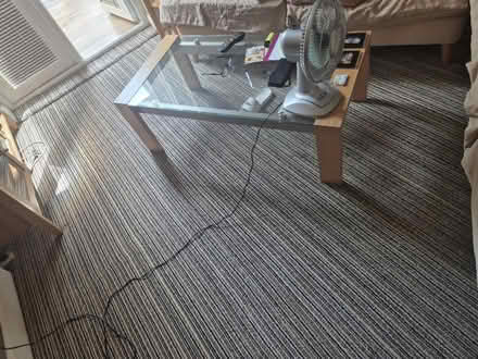 Photo of free Carpet about 19 square metres (Sharrow S11) #3