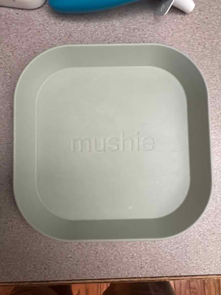 Photo of free Two kid’s mushie plates (Des Peres) #1