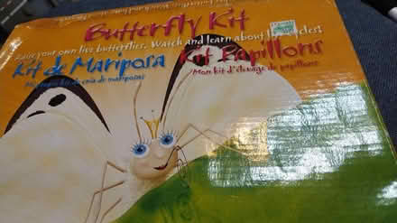 Photo of free Butterfly kit (Allen) #1