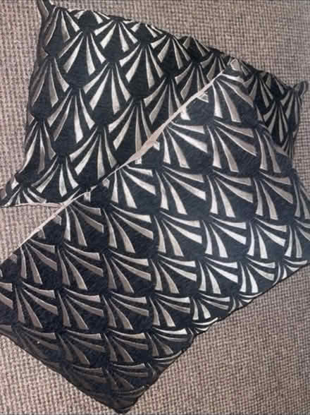 Photo of free Sofa cushion x 2 (Cannonmills EH7) #3