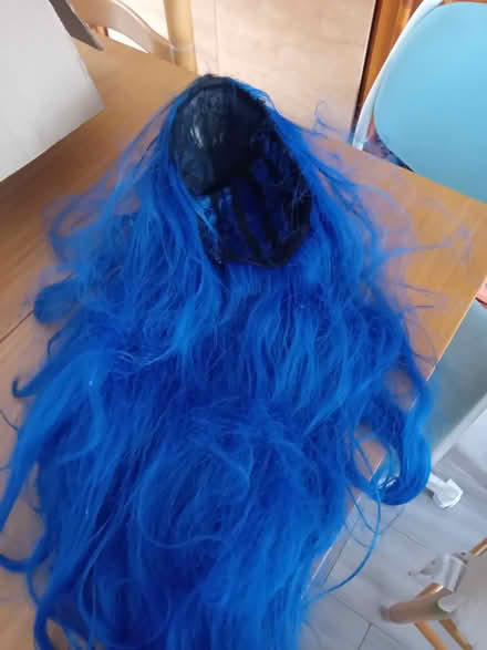 Photo of free Blue long hair wig (Didsbury) #1