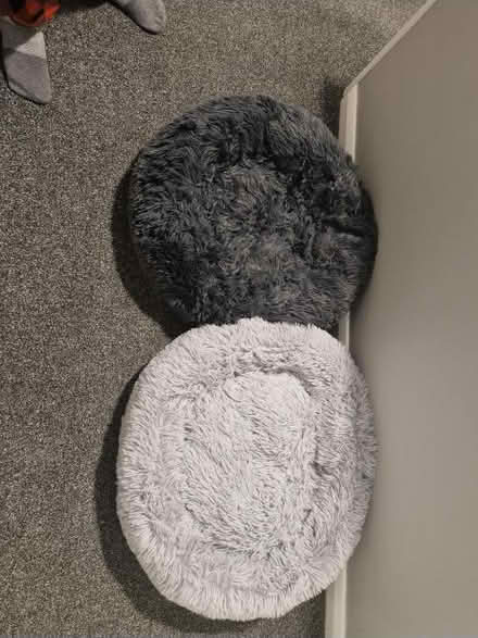 Photo of free Cat beds (Canterbury) #1