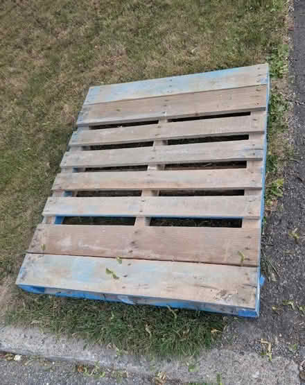 Photo of free Wood palet (Walkley/Riverside) #1