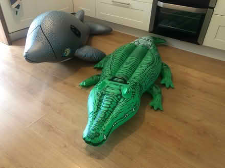 Photo of free Pool inflatables (Newfield Green S14) #1