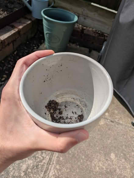 Photo of free Ceramic plant pot (North Tonbridge, TN10) #2