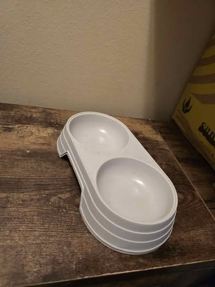 Photo of free 2 Plastic kitten/puppy food bowls (Randallstown, MD) #1