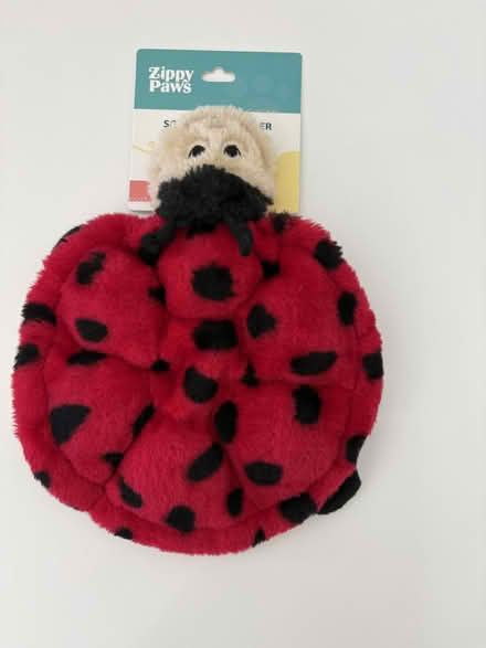 Photo of free Dog Toy - Lots of squeakers (Dimond/Fruitvale) #1