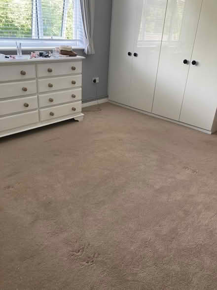 Photo of free Carpet (leybourne) #1