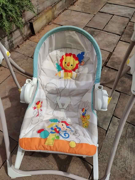 Photo of free Baby swing (Altrincham WA15) #1