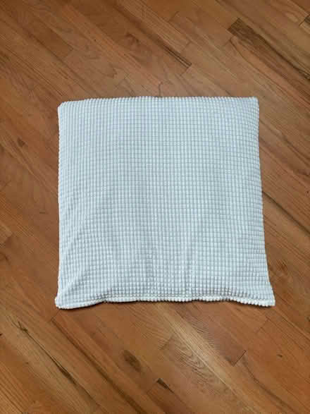Photo of free Floor pillow (South Loop) #4