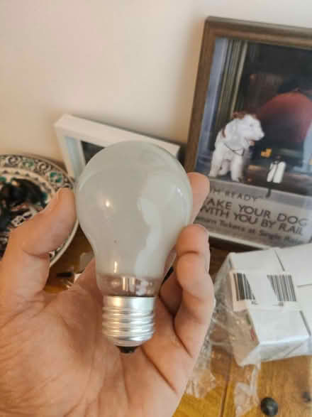 Photo of free Light bulbs x6 (EH16, Prestonfield) #1