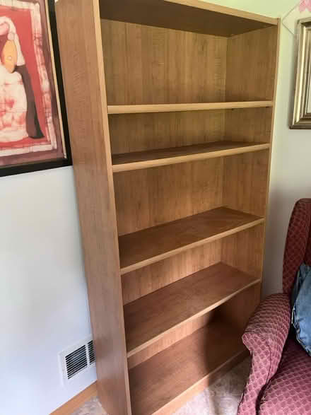 Photo of free Tall book shelf (carpentersville) #1