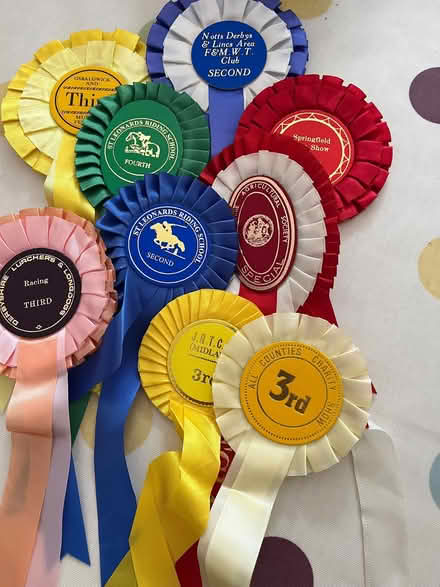 Photo of free Rosettes (Breadsall DE21) #1