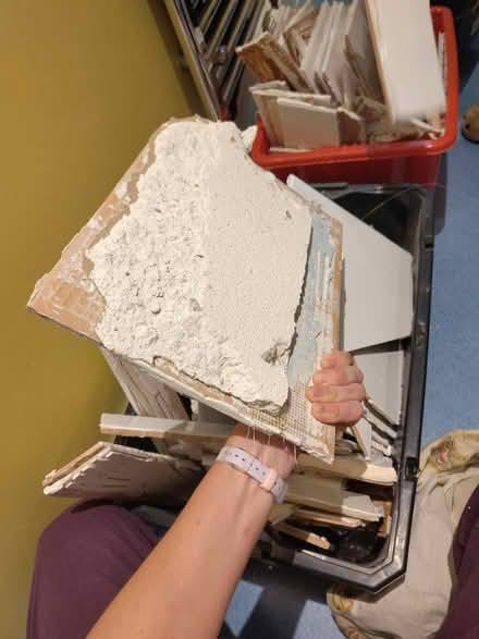 Photo of free Used Tiles (Ipswich IP4) #3