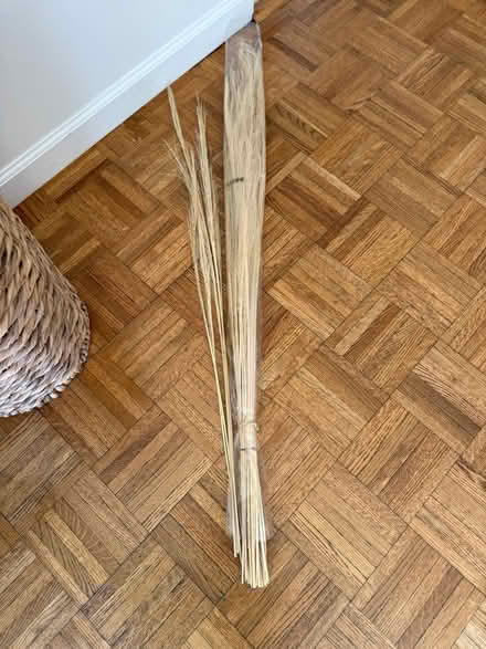 Photo of free Decorative twigs (Palm Park) #2