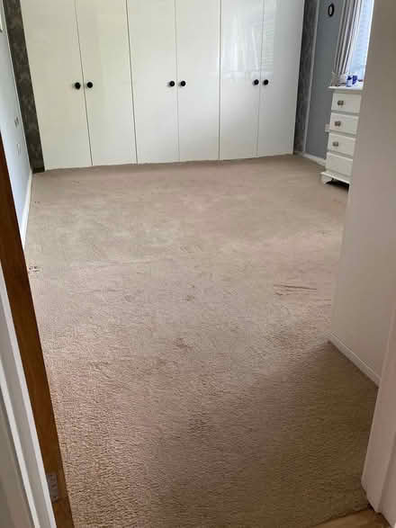 Photo of free Carpet (leybourne) #2
