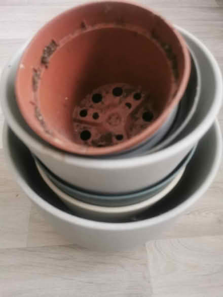 Photo of free Plant pots (Longsight M12) #1