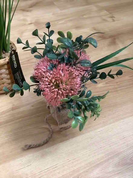Photo of free Artificial plants (White City W10) #3