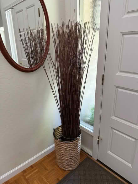 Photo of free Decorative twigs (Palm Park) #1
