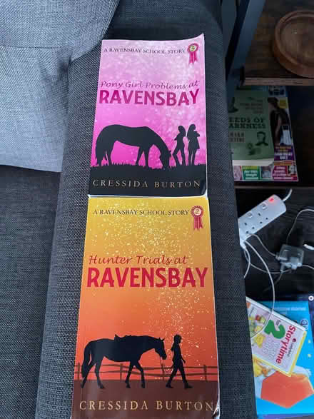 Photo of free Children’s books bundle 2 (Thringstone LE67) #1