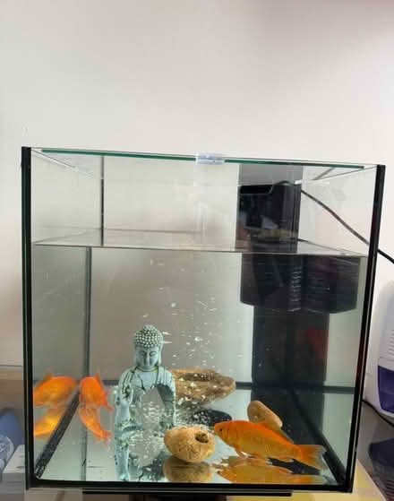 Photo of free Aquarium (Bognor Regis) #1
