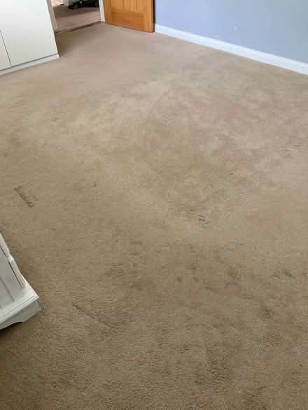Photo of free Carpet (leybourne) #3