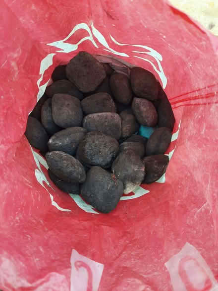 Photo of free Barbecue Coal (Allerton BD15) #2