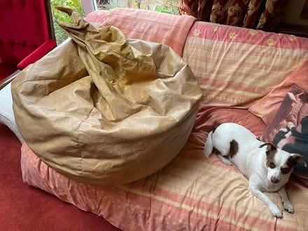 Photo of free Beanbag cushion (Northaw EN6) #1
