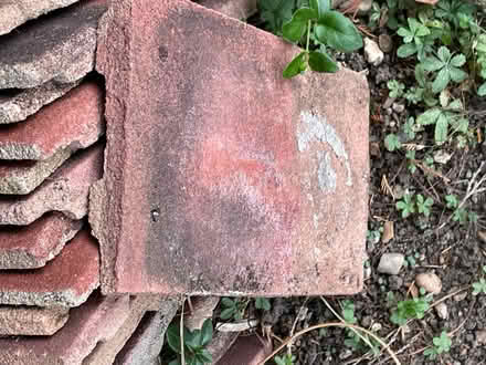 Photo of free Roof tiles (New Barnet EN4) #2
