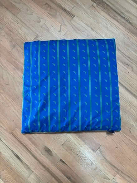 Photo of free Floor pillow (South Loop) #1