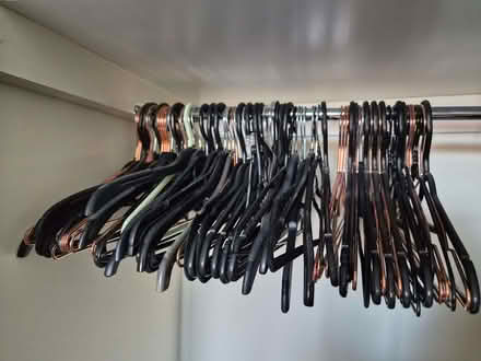 Photo of free Hangers (mixed) (Nantwich CW5) #1
