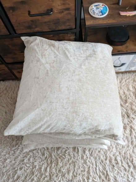 Photo of free Cushions (Kingshurst B37) #1