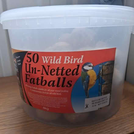 Photo of free More Fat Balls (Wickford SS12) #1