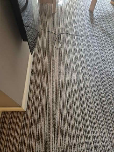 Photo of free Carpet about 19 square metres (Sharrow S11) #4