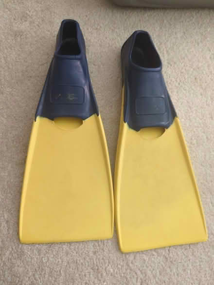 Photo of free Swim flippers (Upper Marlboro) #1