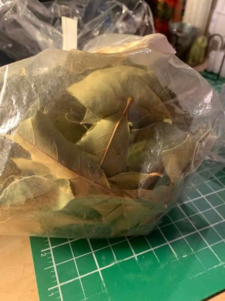 Photo of free Spices (Burnaby (behind Brentwood).) #2