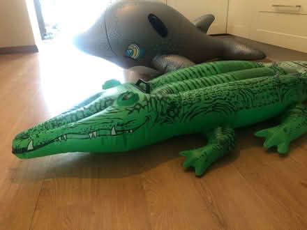 Photo of free Pool inflatables (Newfield Green S14) #3