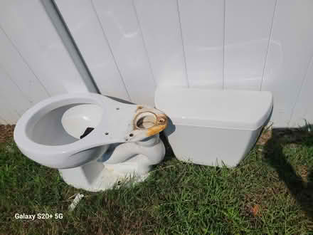 Photo of free Toilet Bowl (Burlington) #1