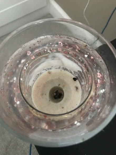 Photo of free Finished light up LED candle (Tooting SW19) #2