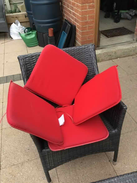 Photo of free Four garden chair pads (Greenstead CO4) #1