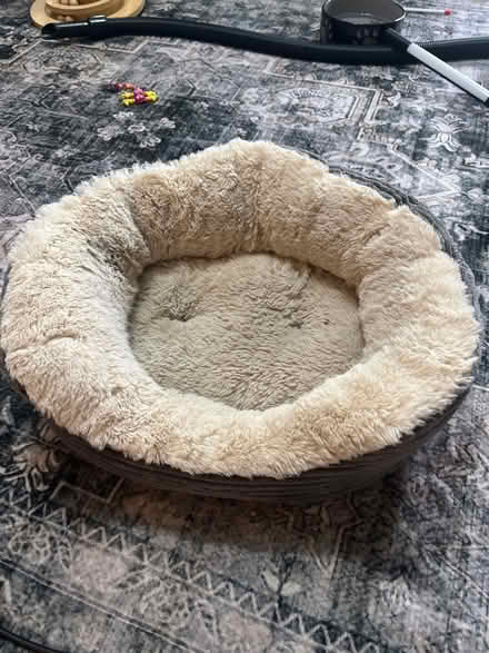 Photo of free Little cat bed or a very small dog (RG2 Shinfield) #1