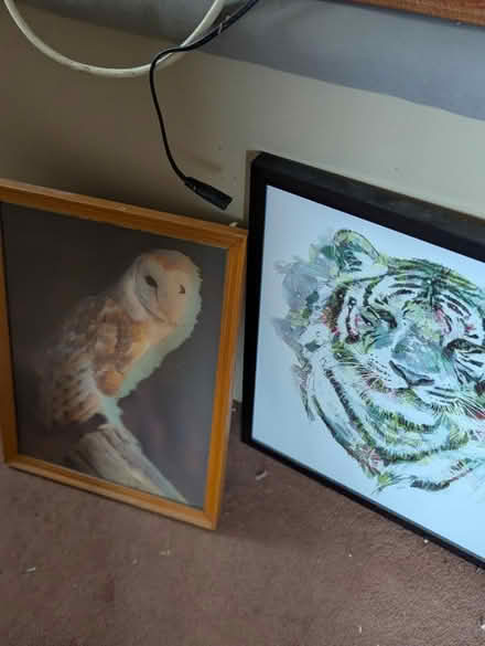 Photo of free Pictures X2 (Bradford on Avon BA15) #3