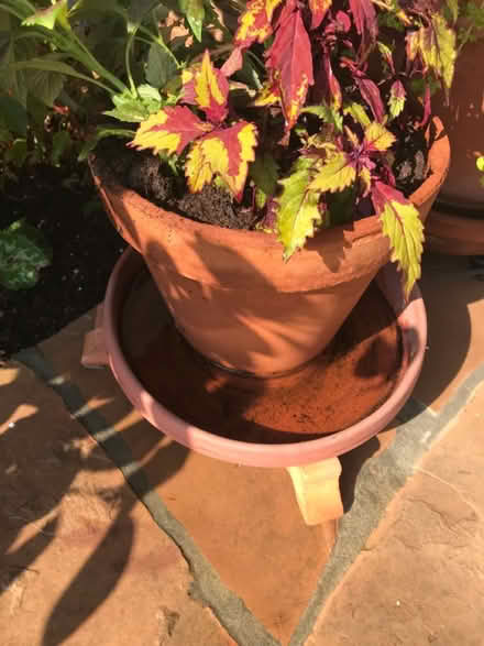 Photo of Terracotta pot/saucers (rolling Hills Estates) #1