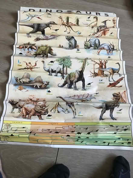 Photo of free Dinosaurs poster (Churchtown Dublin 14) #1
